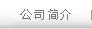 公司簡介